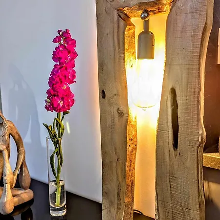Appartement La Bulle Uzetienne Uzès